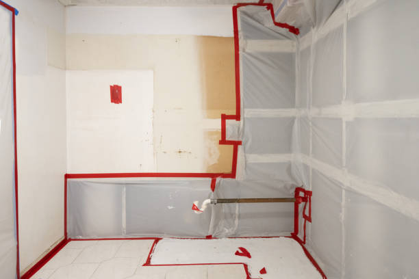 Best HVAC Mold Inspection and Cleaning  in USA